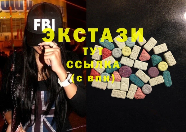 индика Нягань