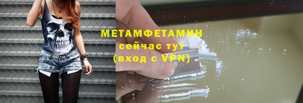 индика Нягань