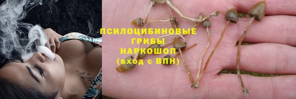 герыч Новокубанск