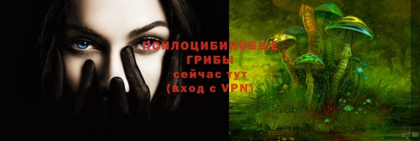 индика Нягань