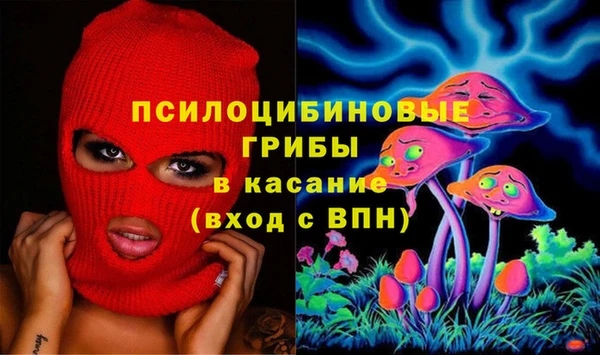 индика Нягань