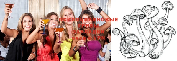 синтетический гашиш Новозыбков