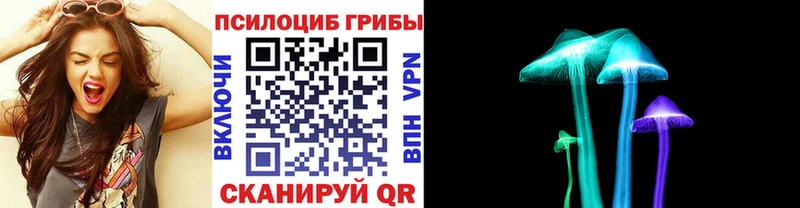 Псилоцибиновые грибы GOLDEN TEACHER  KRAKEN онион  нарко площадка как зайти  Удомля 