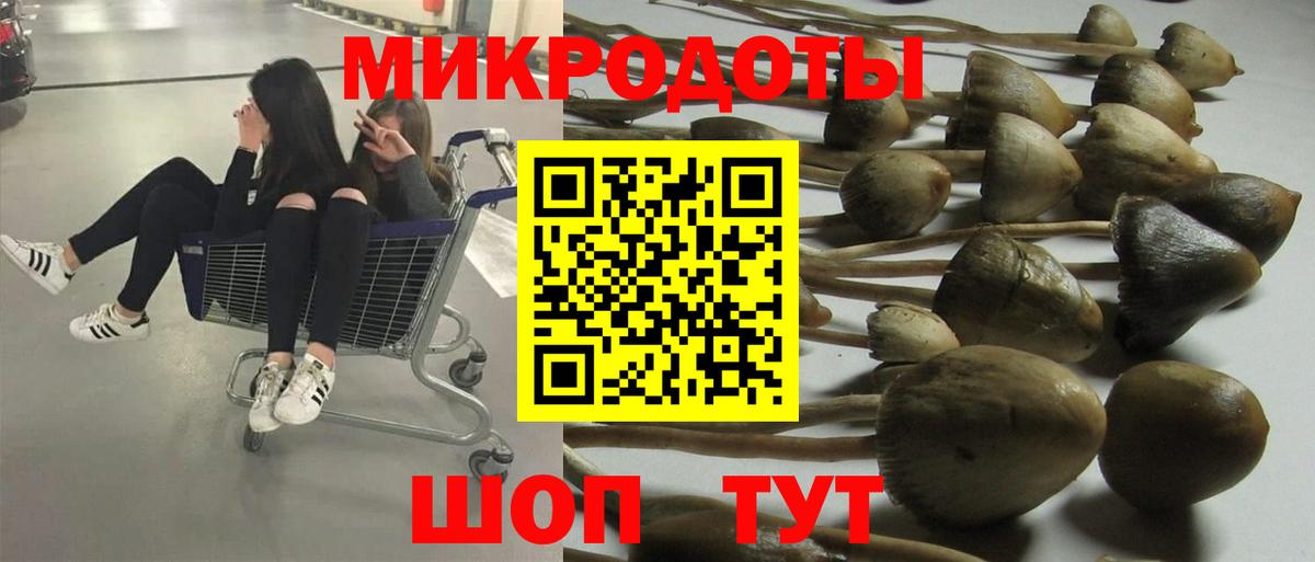 где можно купить   Вход с VPN  Псилоцибиновые грибы прущие грибы  Удомля  Псилоцибиновые грибы GOLDEN TEACHER 